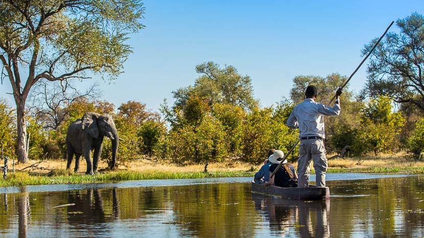 Botswana vs South Africa Safari: Which Should You Choose