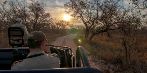 sabi sands camping safari