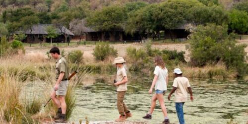 Pilanesberg safari