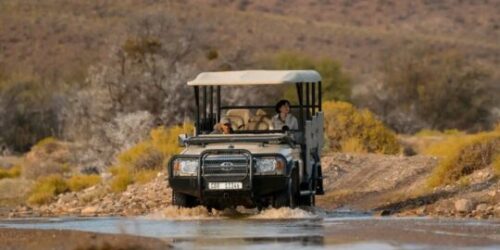 honeymoon safari near Cape Town