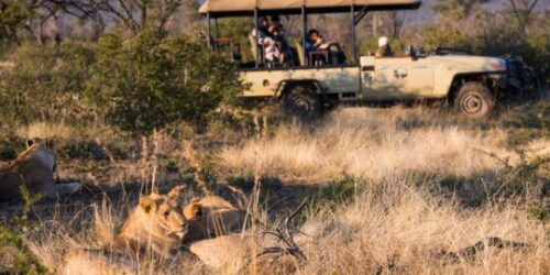 Madikwe Game Reserve Safari