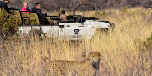 Madikwe safari package