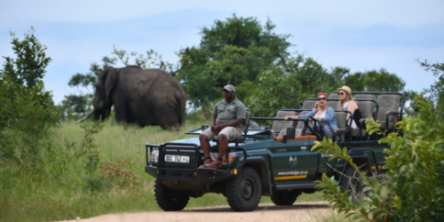 Big Five safari